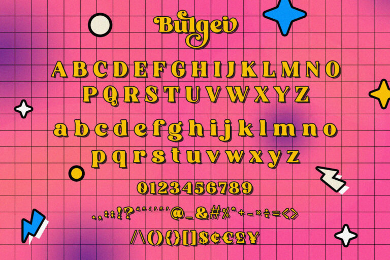 Bulgei - Modern Retro Serif - Image 15