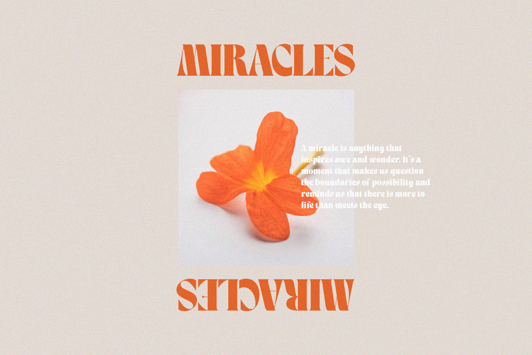 Retro Display Serif