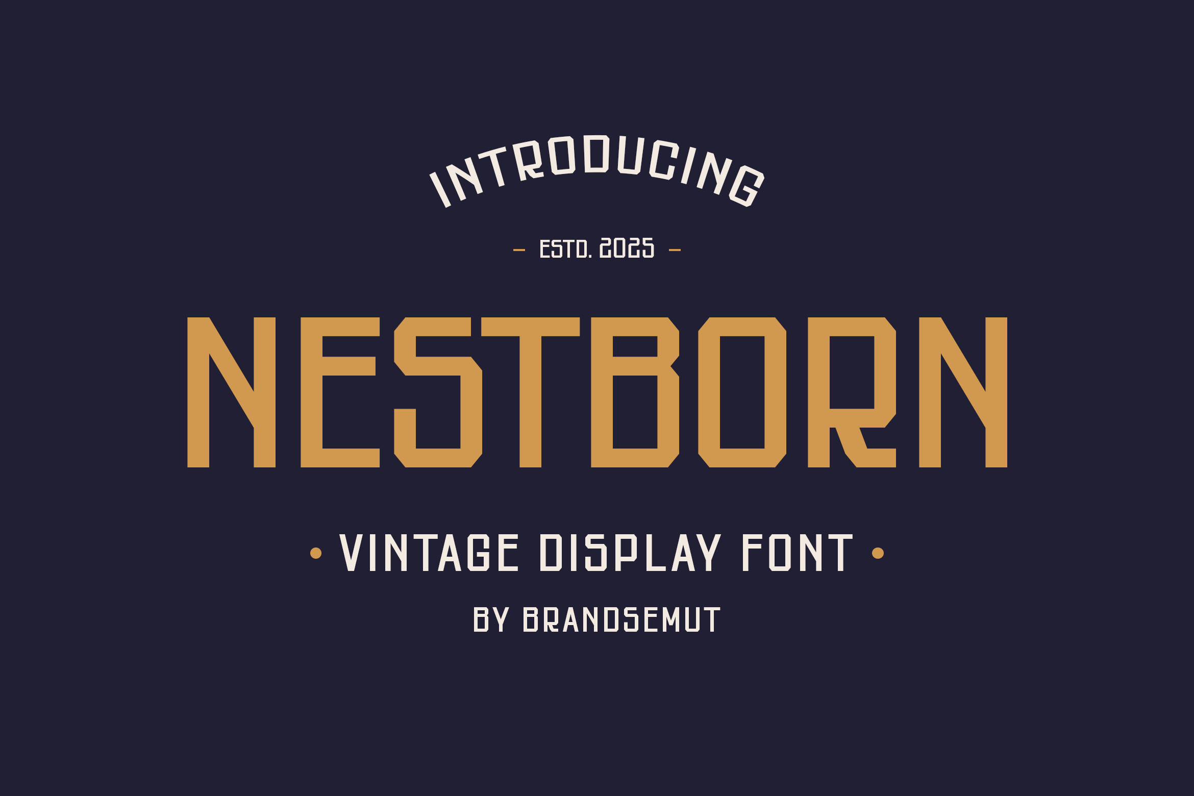 Vintage Display Sans