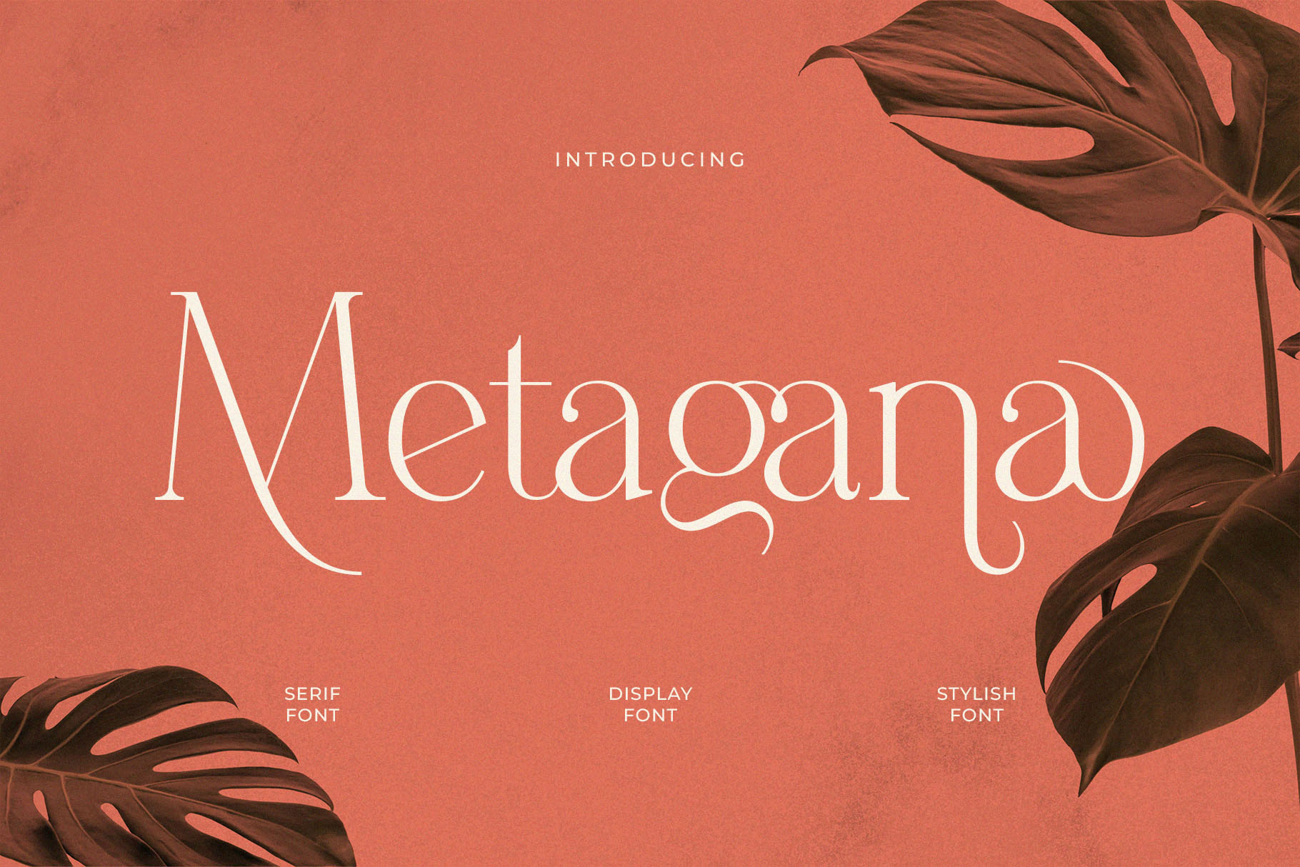 Metagana - Modern Display Serif Font