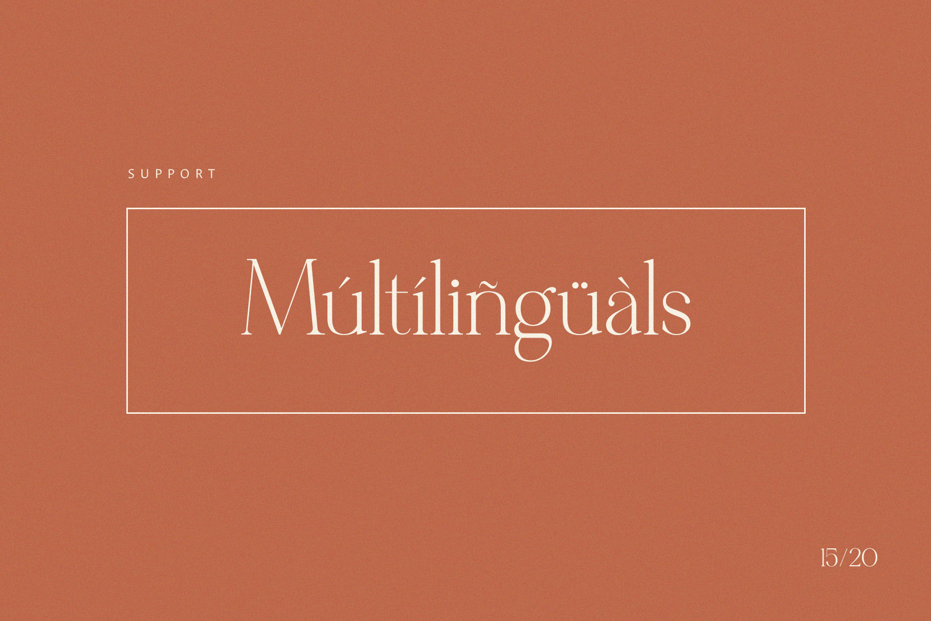 Metagana - Modern Display Serif Font - Image 6