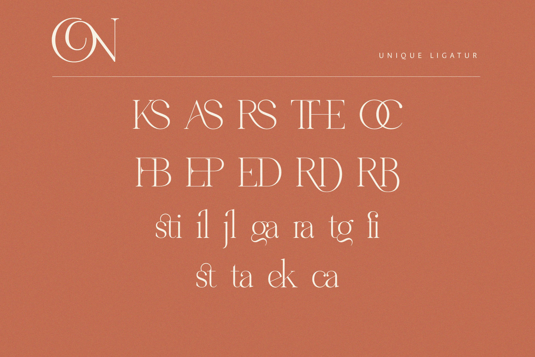 Metagana - Modern Display Serif Font - Image 7