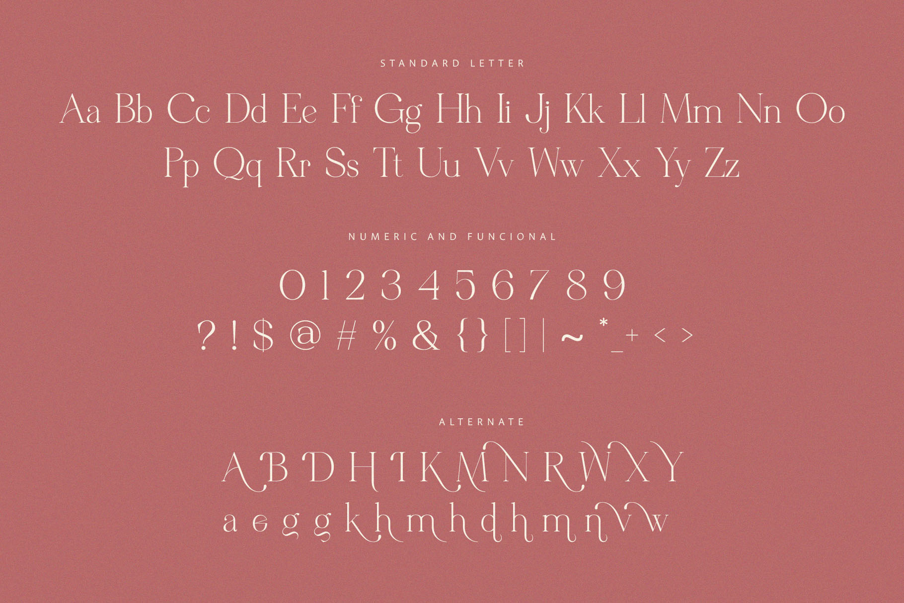 Metagana - Modern Display Serif Font - Image 8