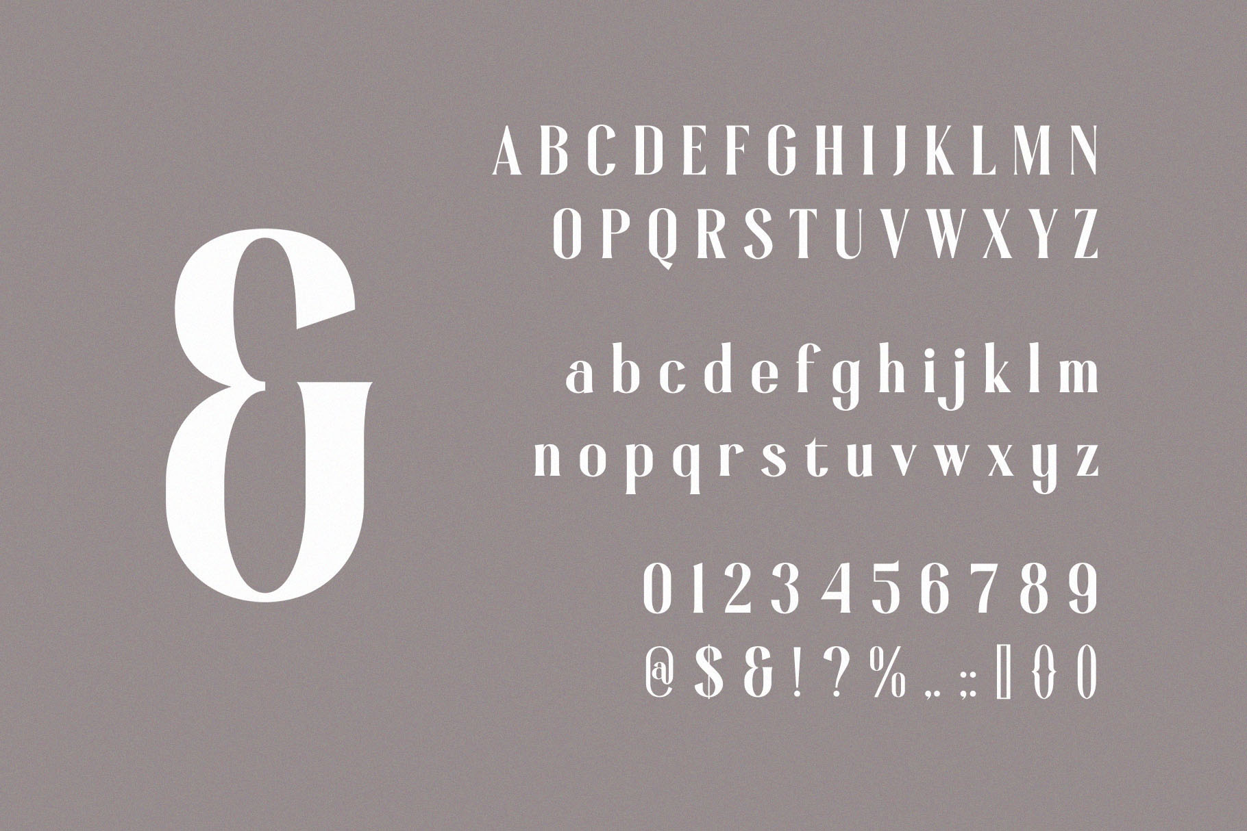 Gloscine – Classy Condensed Serif Font - Image 8