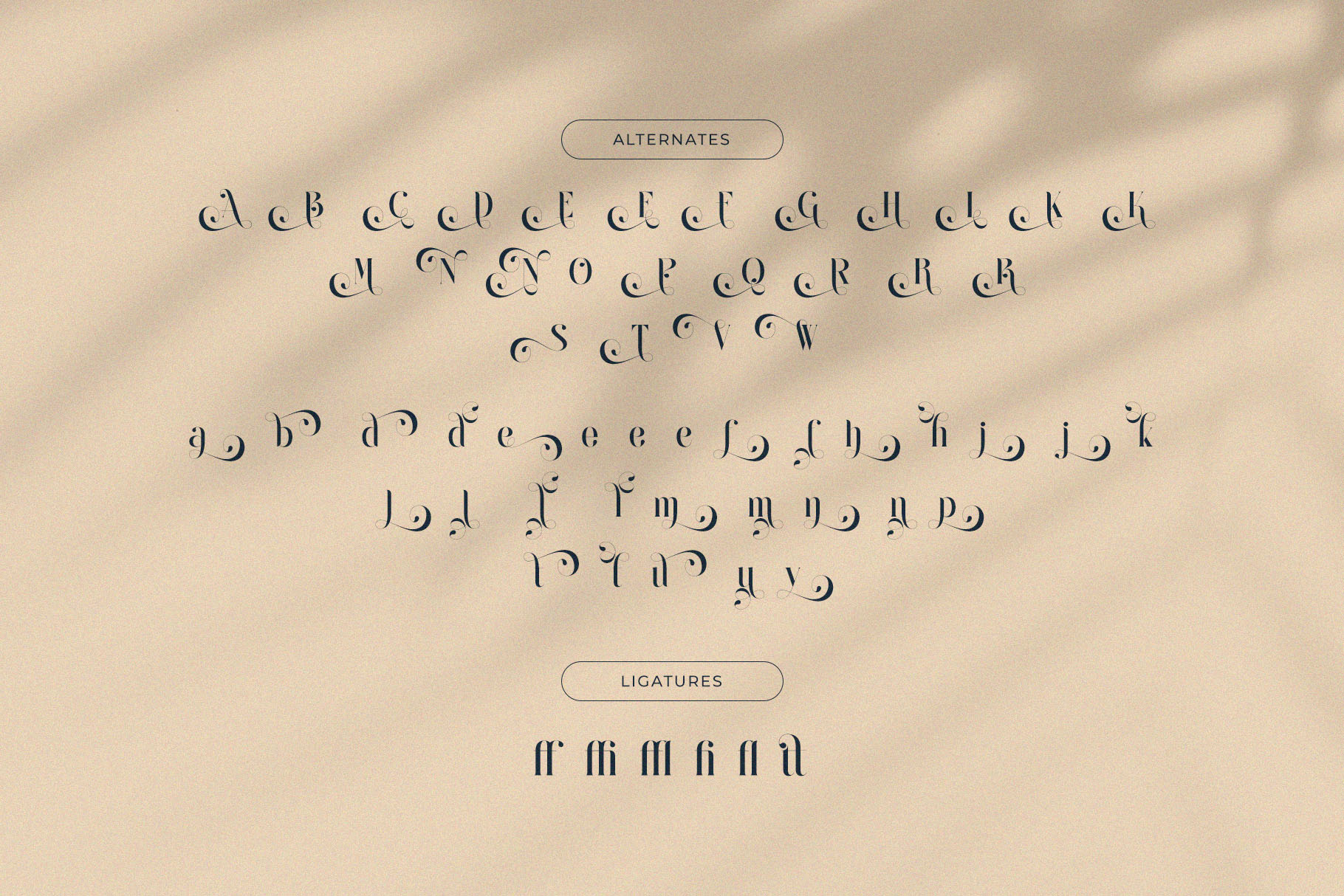Raintop – Elegant & Stylish Serif Font - Image 10