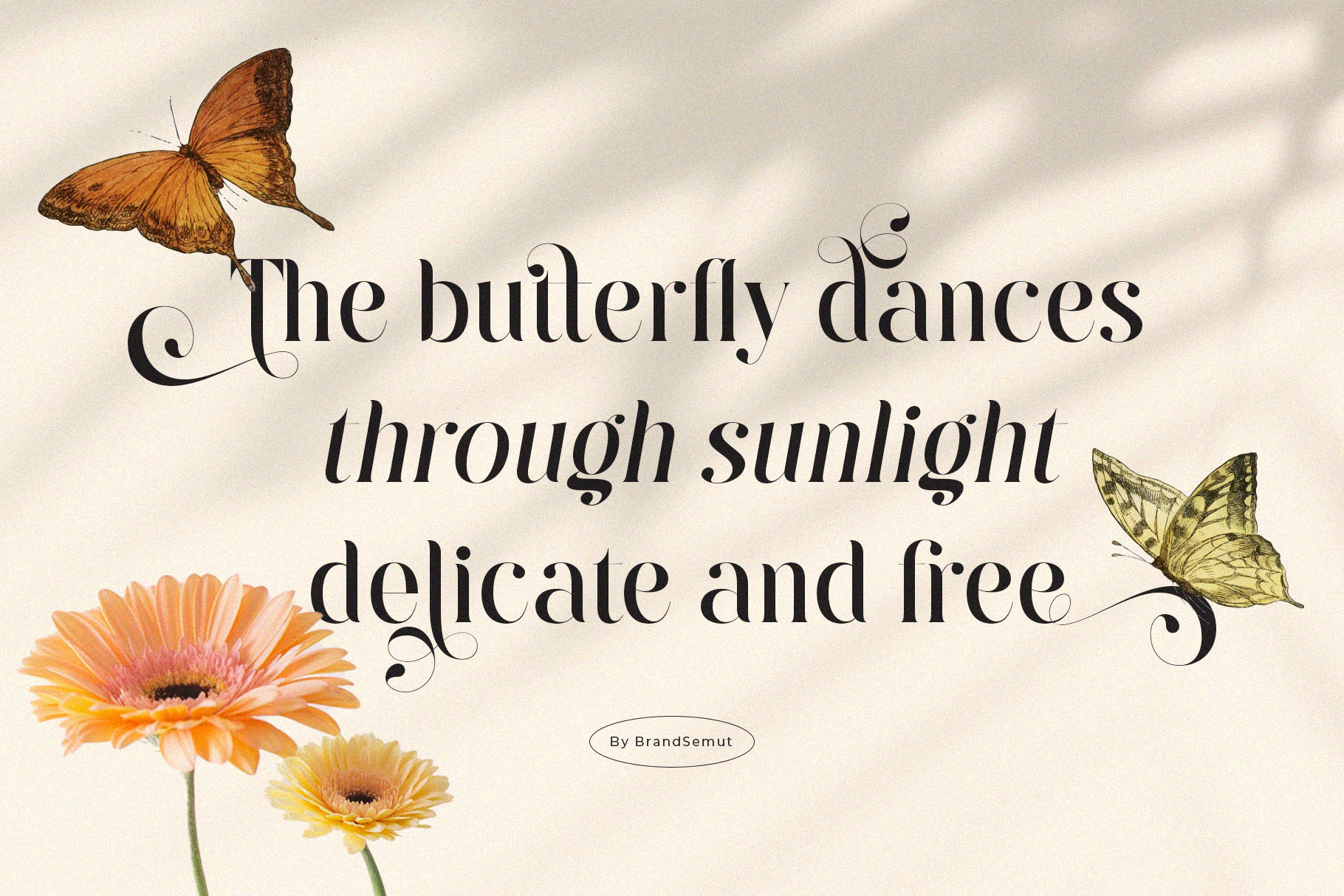 Raintop – Elegant & Stylish Serif Font - Image 2
