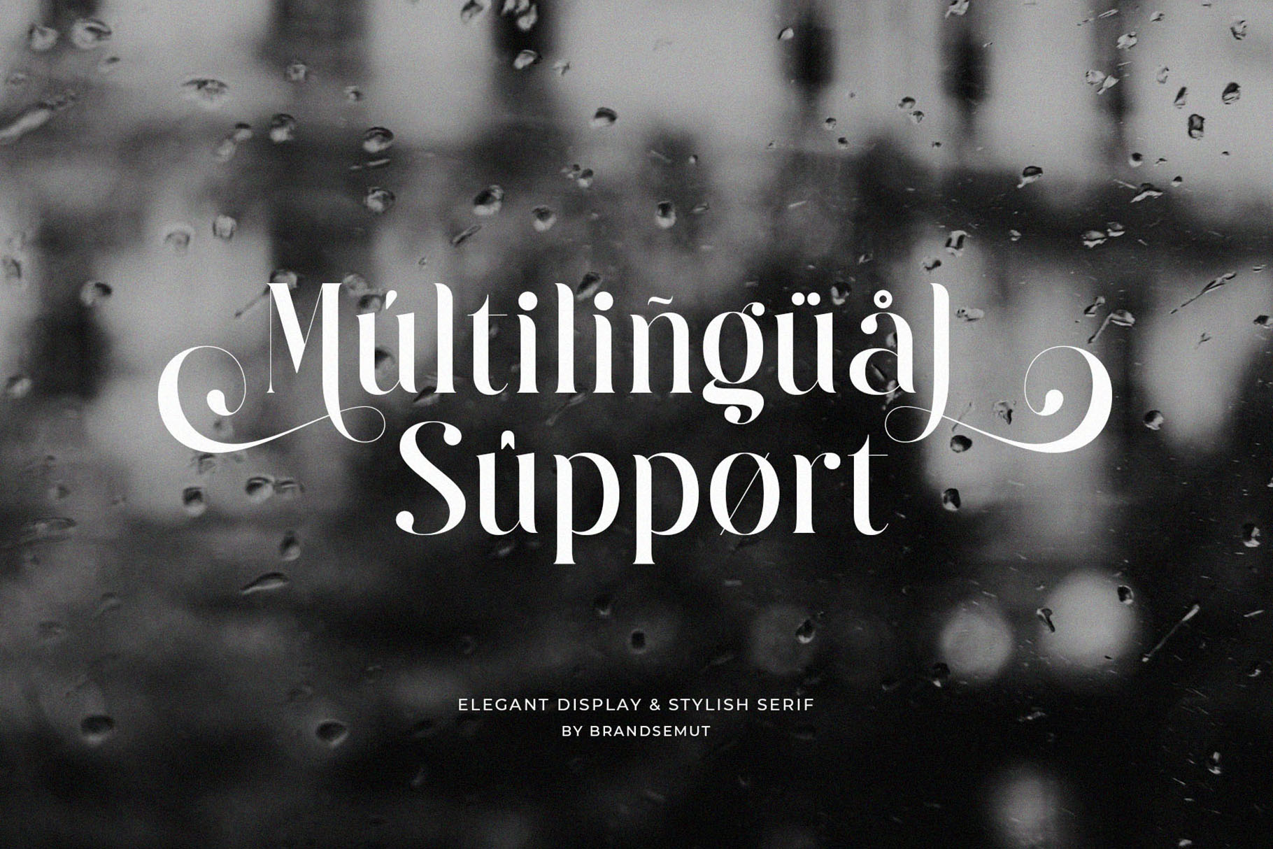 Raintop – Elegant & Stylish Serif Font - Image 8