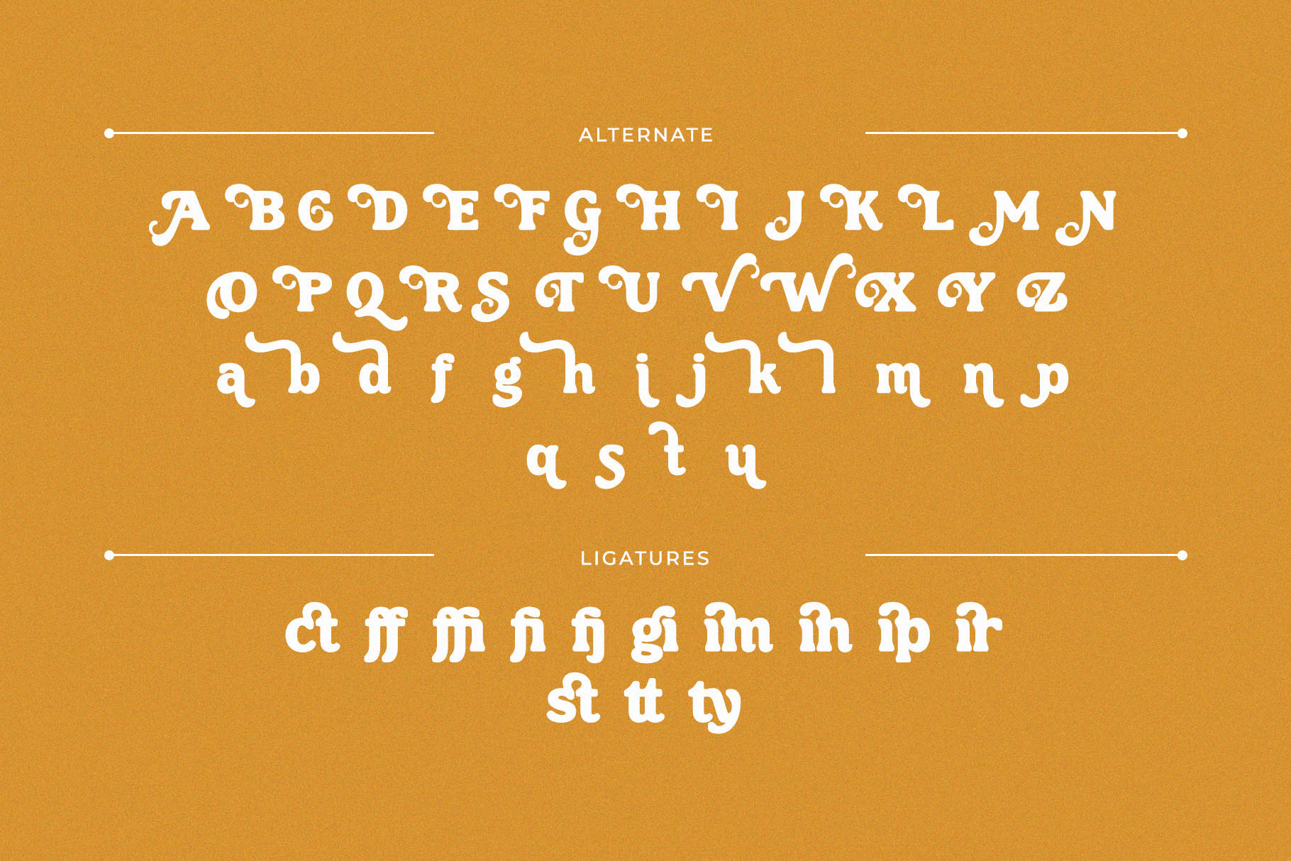 Jeikinsa – Retro Display Serif Font - Image 10